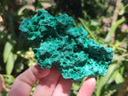 Natural Silky Malachite Specimens x 6 From Kasompe, Congo