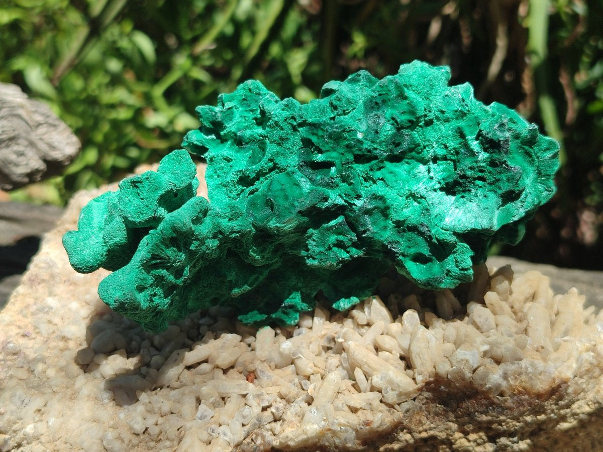 Natural Silky Malachite Specimens x 6 From Kasompe, Congo