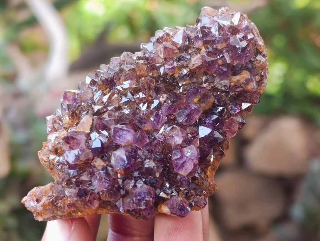 Natural Dark Purple Amethyst Quartz Crystal Plates x 12 From Boekenhouthoek, South Africa
