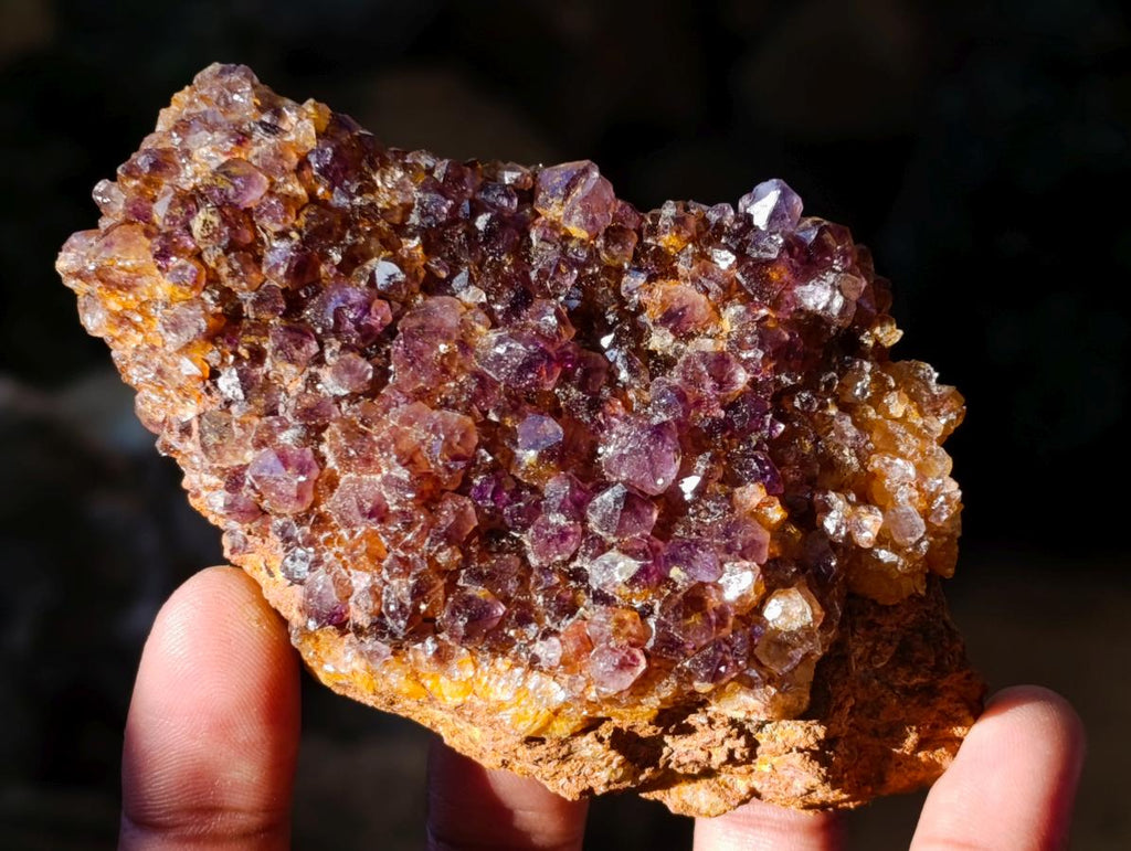Natural Dark Purple Amethyst Quartz Crystal Plates x 12 From Boekenhouthoek, South Africa