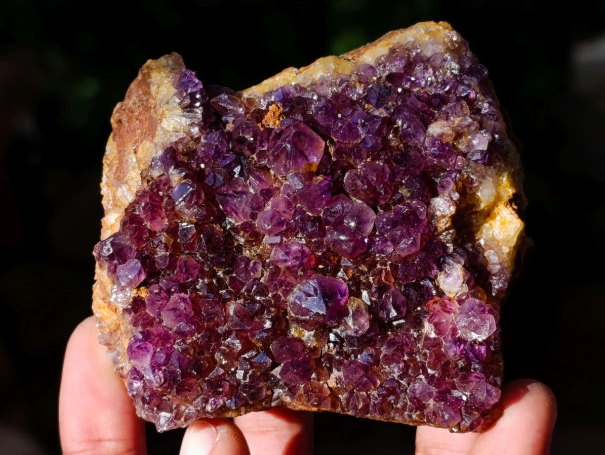 Natural Dark Purple Amethyst Quartz Crystal Plates x 12 From Boekenhouthoek, South Africa