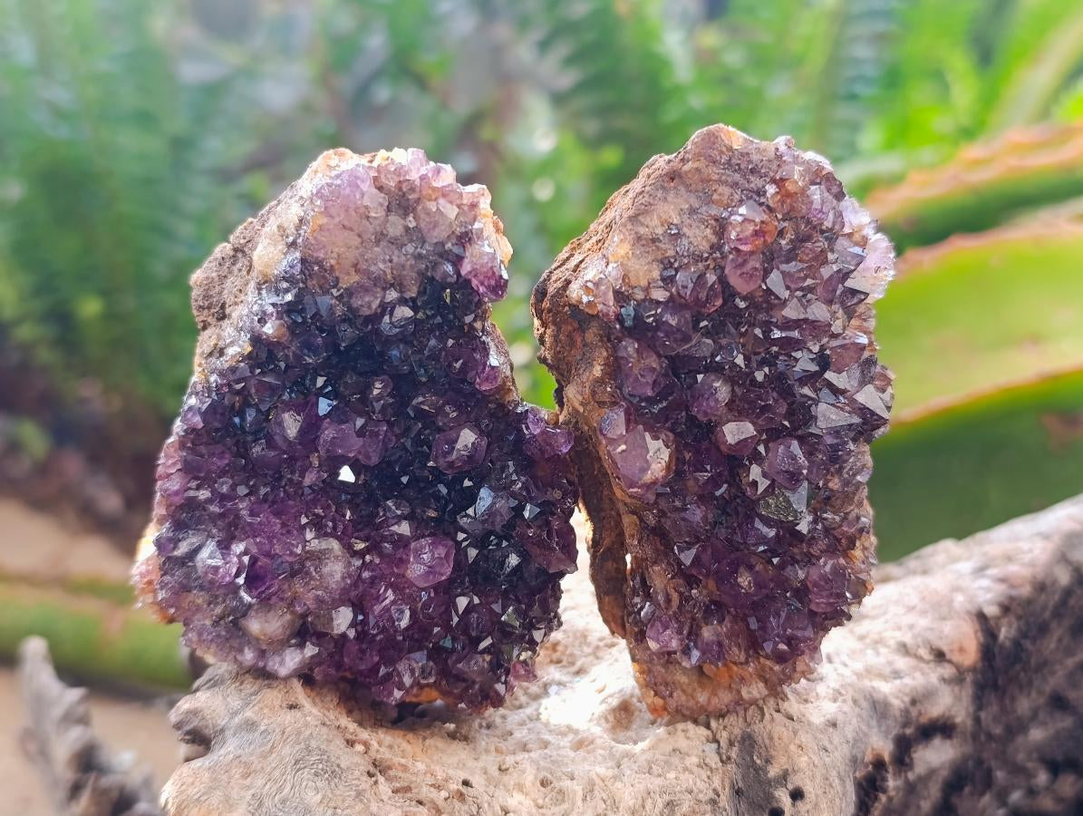 Natural Dark Purple Amethyst Quartz Crystal Plates x 12 From Boekenhouthoek, South Africa
