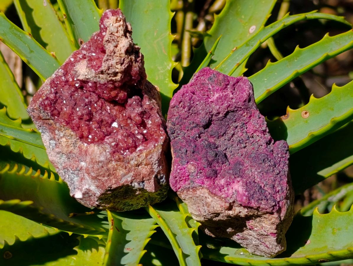 Natural Salrose Cobaltoan Dolomite Specimens x 12 From Kakanda, Congo - Toprock Gemstones and Minerals 