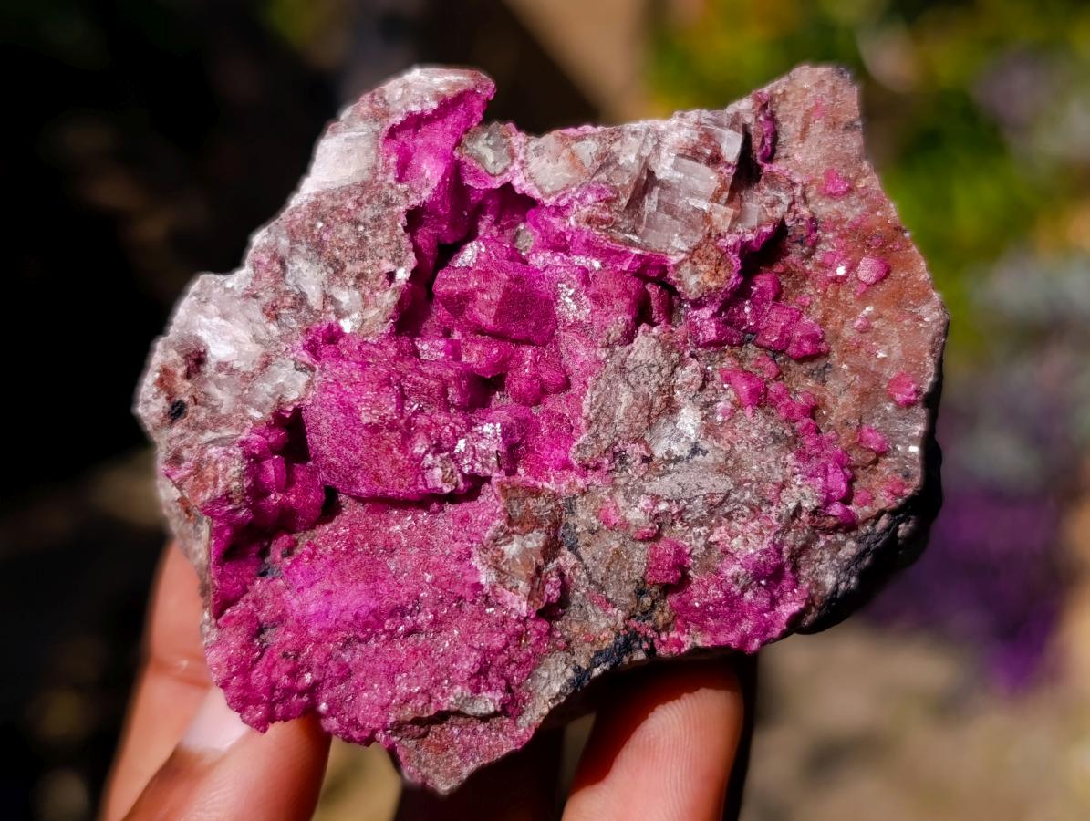 Natural Salrose Cobaltoan Dolomite Specimens x 12 From Kakanda, Congo
