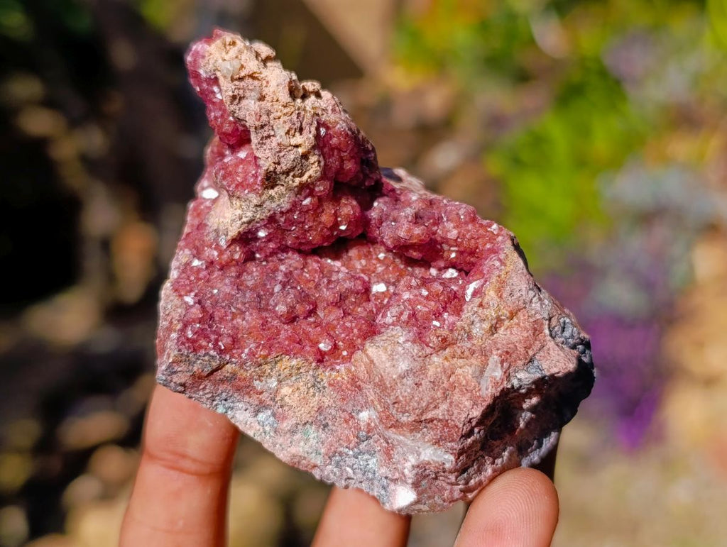 Natural Salrose Cobaltoan Dolomite Specimens x 12 From Kakanda, Congo - Toprock Gemstones and Minerals 