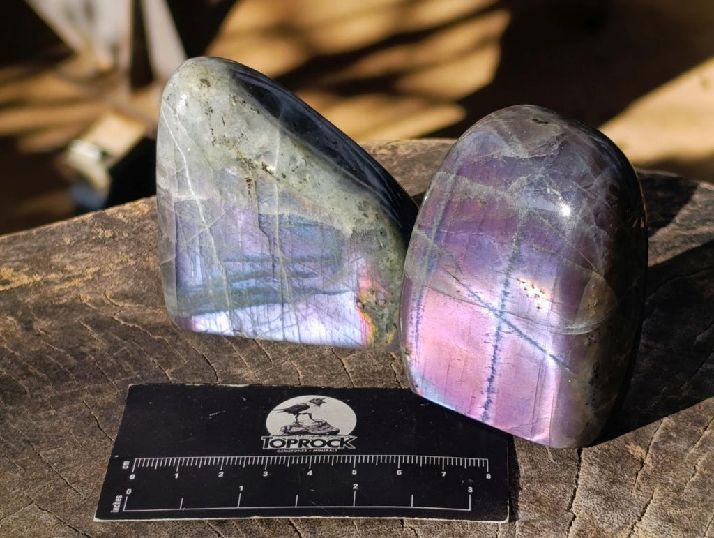 Polished Rare Purple Sunset Flash Labradorite Standing Free Forms x 6 From Madagascar - Toprock Gemstones and Minerals 