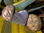 Polished Rare Purple Sunset Flash Labradorite Standing Free Forms x 6 From Madagascar - Toprock Gemstones and Minerals 