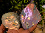 Polished Rare Purple Sunset Flash Labradorite Standing Free Forms x 6 From Madagascar - Toprock Gemstones and Minerals 