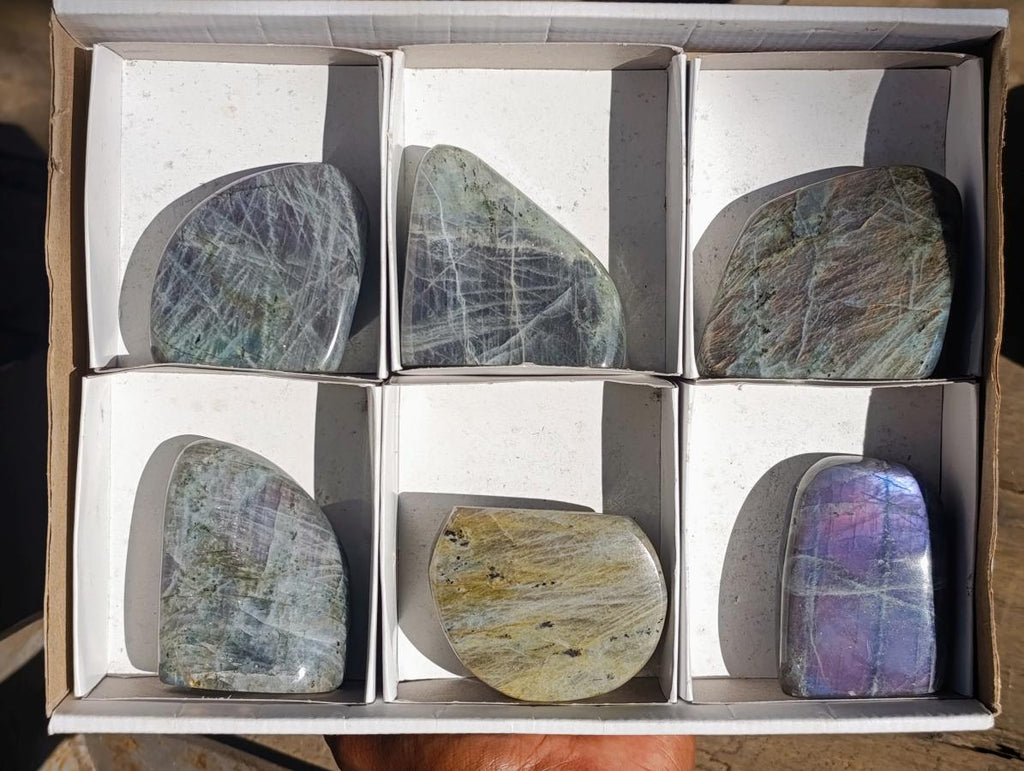 Polished Rare Purple Sunset Flash Labradorite Standing Free Forms x 6 From Madagascar - Toprock Gemstones and Minerals 