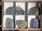 Polished Rare Purple Sunset Flash Labradorite Standing Free Forms x 6 From Madagascar - Toprock Gemstones and Minerals 