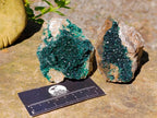 Natural Crystalline Malachite Specimens x 6 From Tenke Fungurume, Congo - Toprock Gemstones and Minerals 