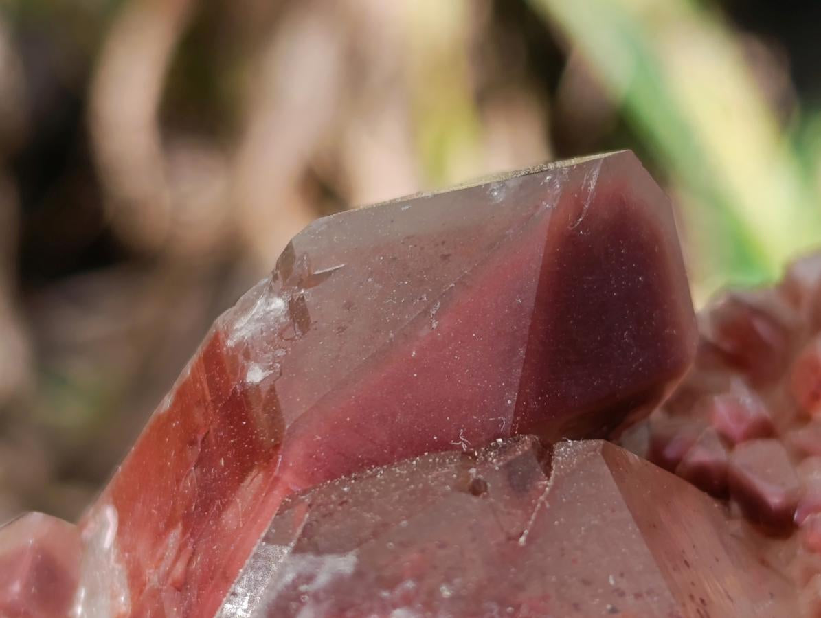 Natural Red Hematoid Quartz Crystal Clusters x 3 From Karoi, Zimbabwe