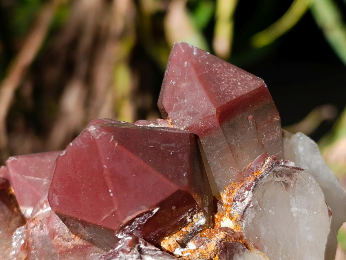 Natural Red Hematoid Quartz Crystal Clusters x 3 From Karoi, Zimbabwe - Toprock Gemstones and Minerals 