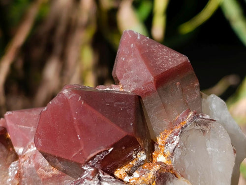 Natural Red Hematoid Quartz Crystal Clusters x 3 From Karoi, Zimbabwe - Toprock Gemstones and Minerals 