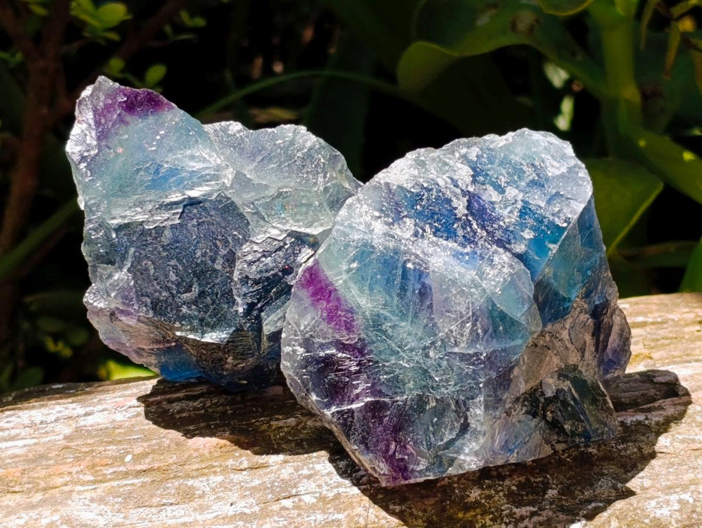 Natural Watermelon Fluorite Cobbed Specimens x 12 From Uis, Namibia