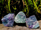 Natural Watermelon Fluorite Cobbed Specimens x 12 From Uis, Namibia