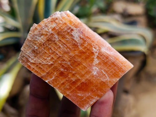 Natural Rhombohedral Sunset Orange Calcite Specimens x 12 From Spitzkop, Namibia