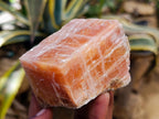 Natural Rhombohedral Sunset Orange Calcite Specimens x 12 From Spitzkop, Namibia - Toprock Gemstones and Minerals 