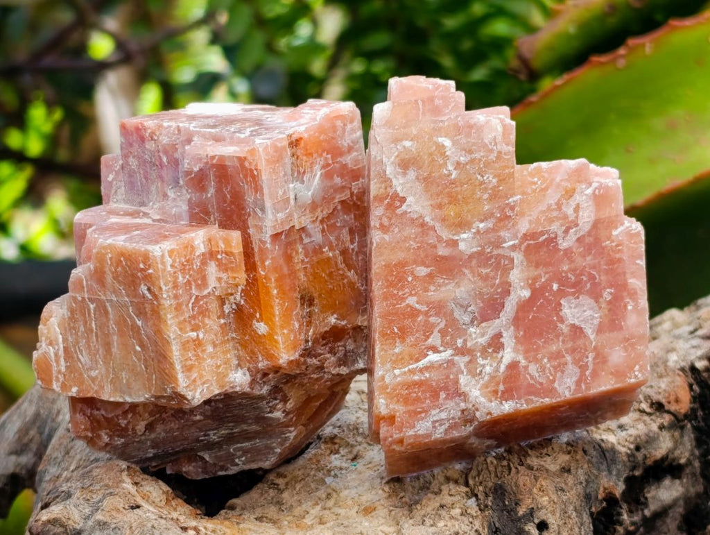 Natural Rhombohedral Sunset Orange Calcite Specimens x 12 From Spitzkop, Namibia - Toprock Gemstones and Minerals 