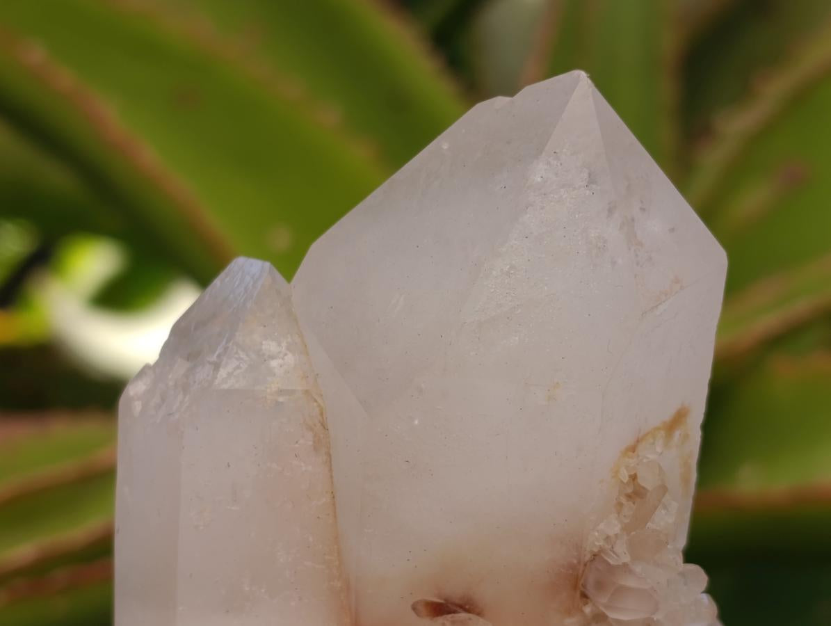 Natural Mixed Quartz Crystal Clusters x 3 From Madagascar - Toprock Gemstones and Minerals 