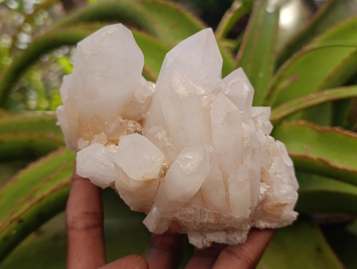 Natural Mixed Quartz Crystal Clusters x 3 From Madagascar - Toprock Gemstones and Minerals 