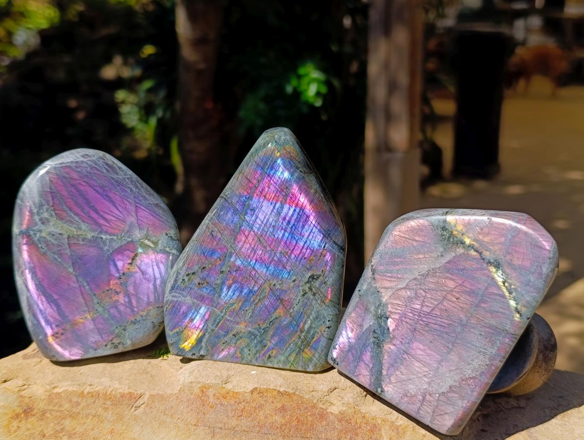 Polished Rare Purple Sunset Flash Labradorite Standing Free Forms x 3 From Madagascar - Toprock Gemstones and Minerals 