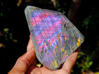 Polished Rare Purple Sunset Flash Labradorite Standing Free Forms x 3 From Madagascar - Toprock Gemstones and Minerals 