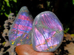 Polished Rare Purple Sunset Flash Labradorite Standing Free Forms x 3 From Madagascar - Toprock Gemstones and Minerals 