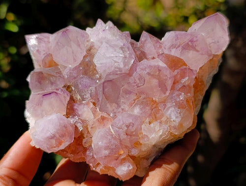 Natural Sunburst Amethyst Spirit Clusters x 2 From Boekenhouthoek, South Africa - Toprock Gemstones and Minerals 