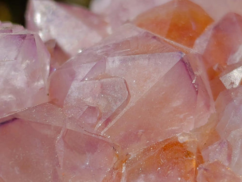 Natural Sunburst Amethyst Spirit Clusters x 2 From Boekenhouthoek, South Africa - Toprock Gemstones and Minerals 