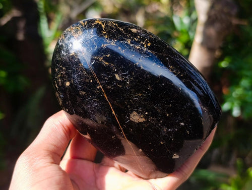Polished Black Tourmaline Standing Free Forms x 3 From Madagascar