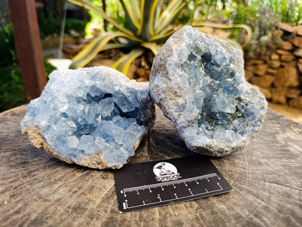 Natural Blue Celestite Cluster Specimens x 2 From Sakoany, Madagascar - Toprock Gemstones and Minerals 