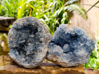 Natural Blue Celestite Cluster Specimens x 2 From Sakoany, Madagascar - Toprock Gemstones and Minerals 
