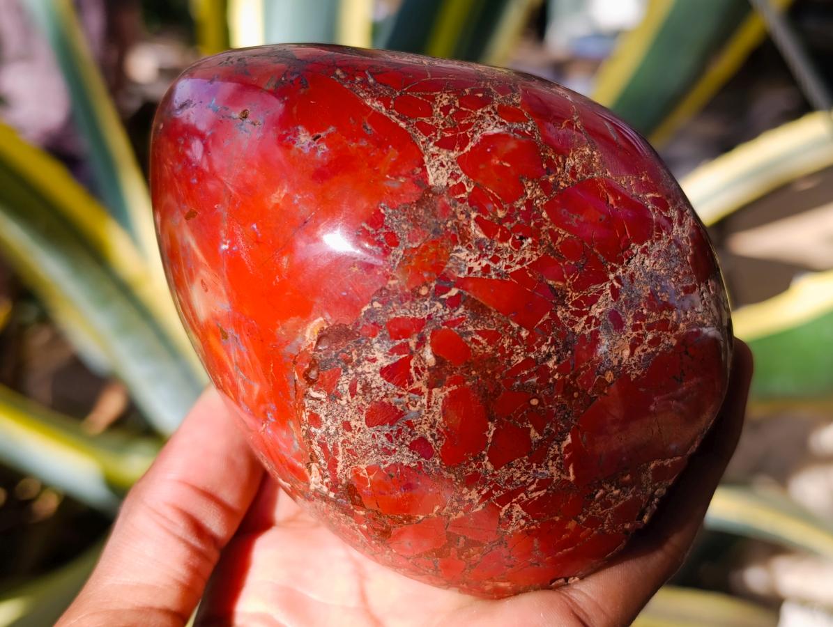 Polished Red Brecciated Jasper Standing Free Forms x 2 From Madagascar