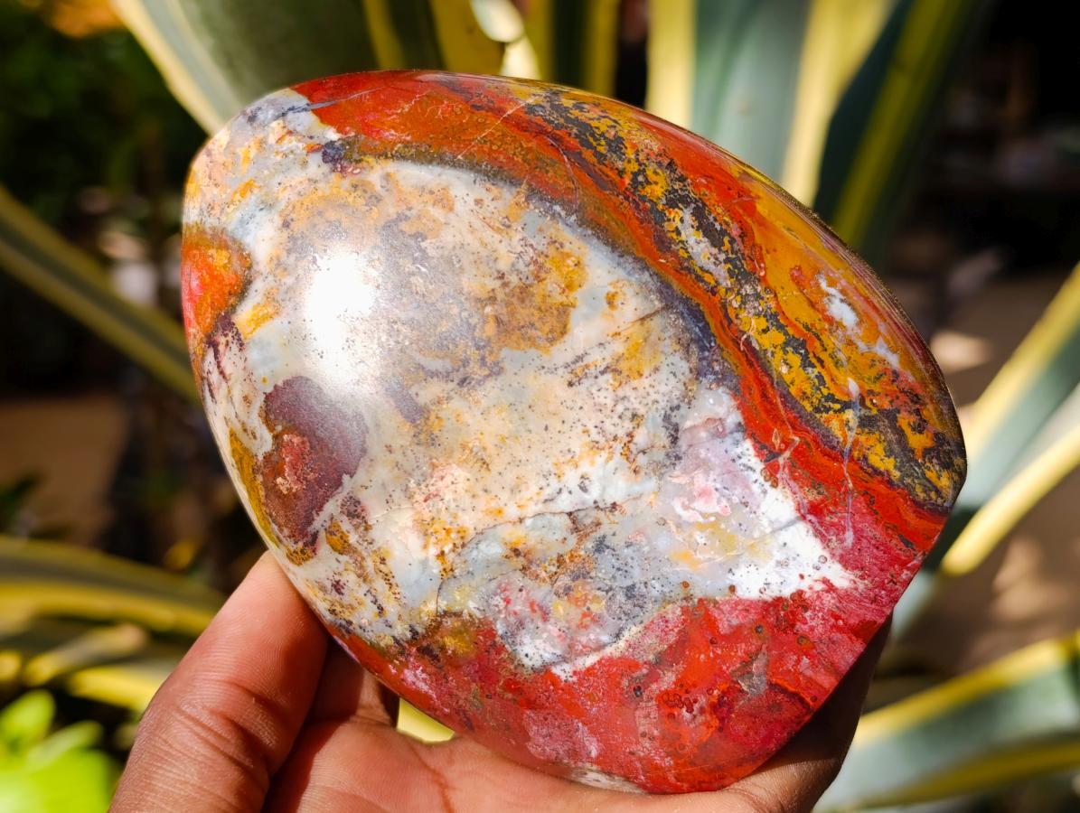 Polished Red Brecciated Jasper Standing Free Forms x 2 From Madagascar