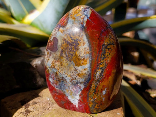 Polished Red Brecciated Jasper Standing Free Forms x 2 From Madagascar