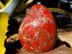 Polished Red Brecciated Jasper Standing Free Forms x 2 From Madagascar