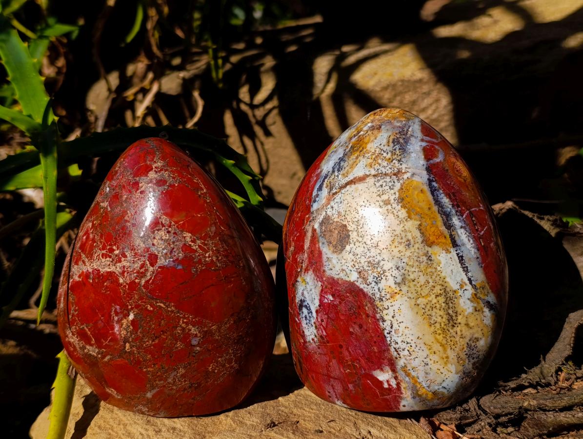 Polished Red Brecciated Jasper Standing Free Forms x 2 From Madagascar