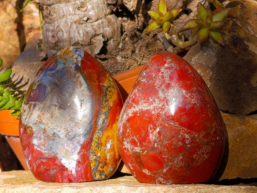 Polished Red Brecciated Jasper Standing Free Forms x 2 From Madagascar