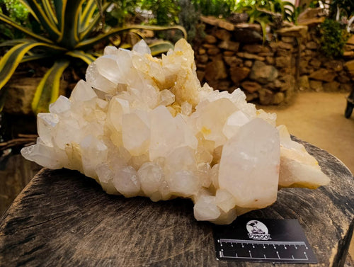 Natural XL White Madagascar Quartz Crystal Cluster x 1 From Madagascar - Toprock Gemstones and Minerals 