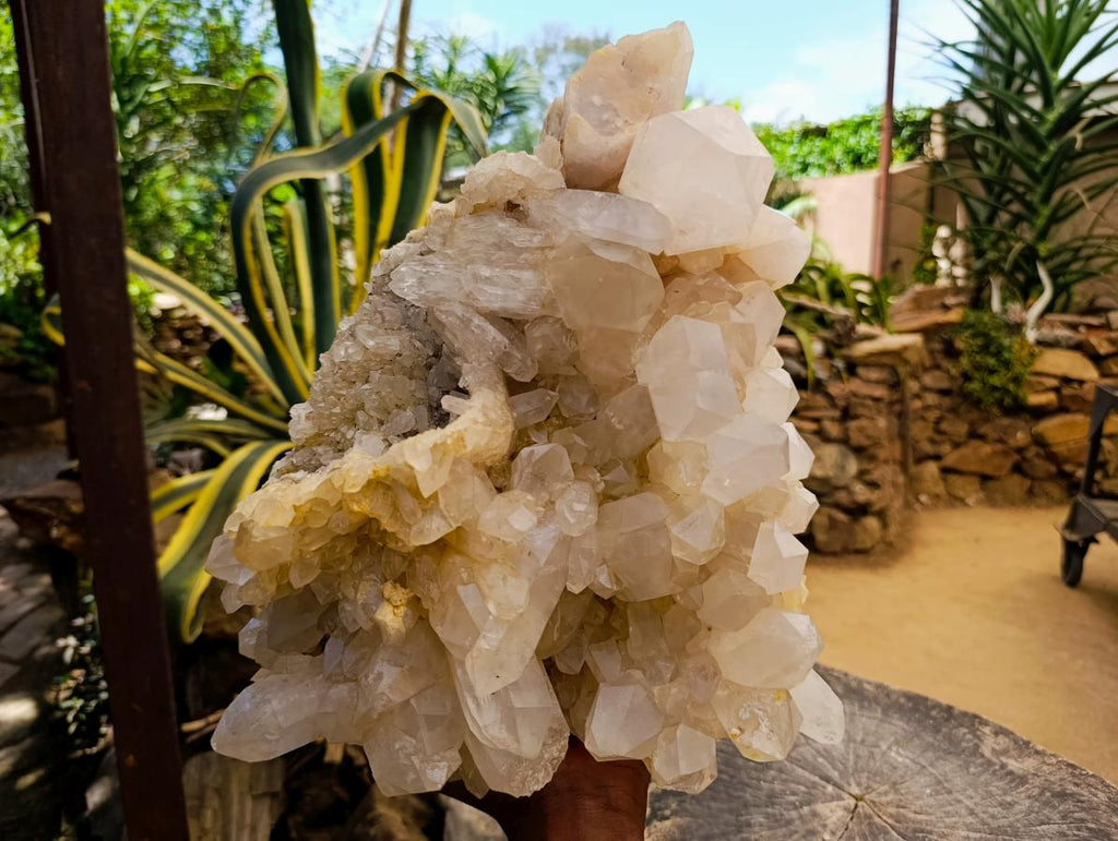 Natural XL White Madagascar Quartz Crystal Cluster x 1 From Madagascar - Toprock Gemstones and Minerals 