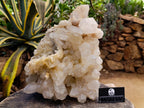 Natural XL White Madagascar Quartz Crystal Cluster x 1 From Madagascar - Toprock Gemstones and Minerals 