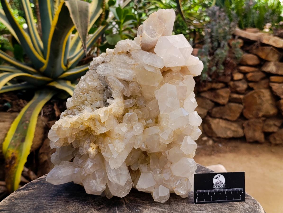 Natural XL White Madagascar Quartz Crystal Cluster x 1 From Madagascar - Toprock Gemstones and Minerals 