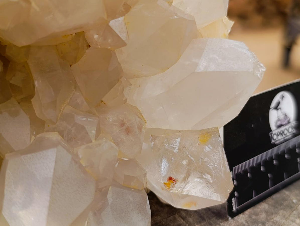 Natural XL White Madagascar Quartz Crystal Cluster x 1 From Madagascar - Toprock Gemstones and Minerals 