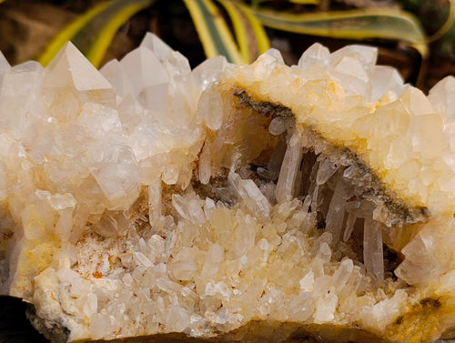 Natural XL White Madagascar Quartz Crystal Cluster x 1 From Madagascar - Toprock Gemstones and Minerals 