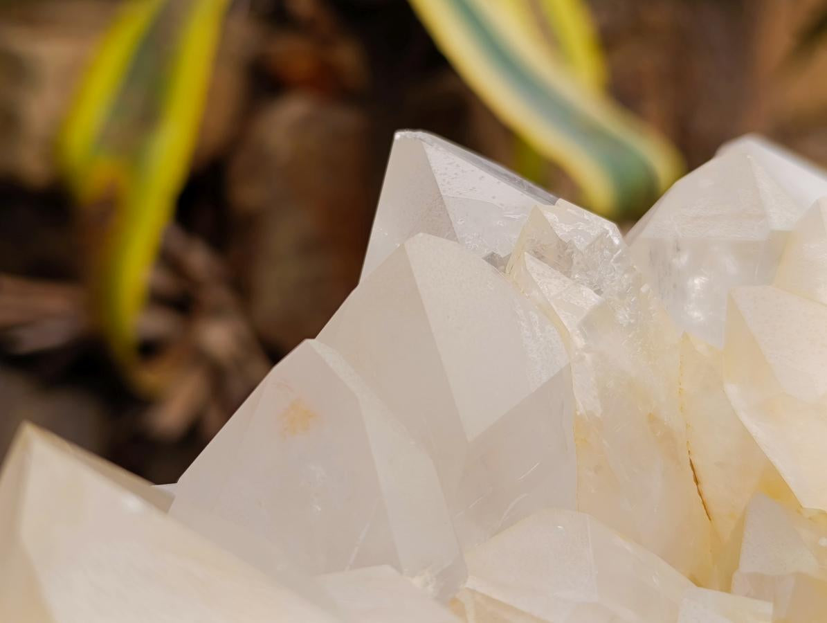 Natural XL White Madagascar Quartz Crystal Cluster x 1 From Madagascar - Toprock Gemstones and Minerals 