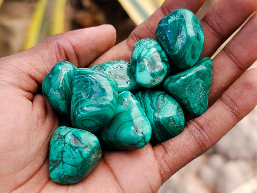 Polished Flower Banded Malachite Free Forms x 70 From Congo