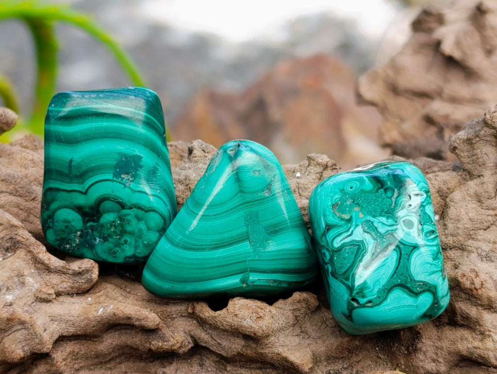 Polished Flower Banded Malachite Free Forms x 70 From Congo