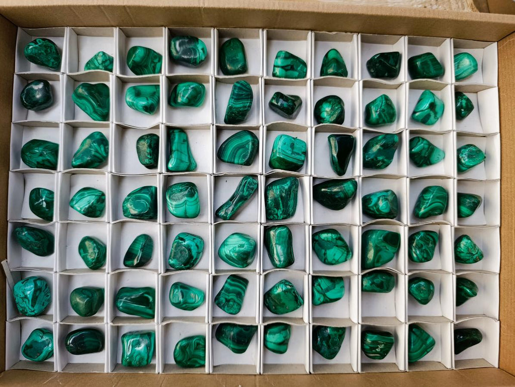 Polished Flower Banded Malachite Free Forms x 70 From Congo