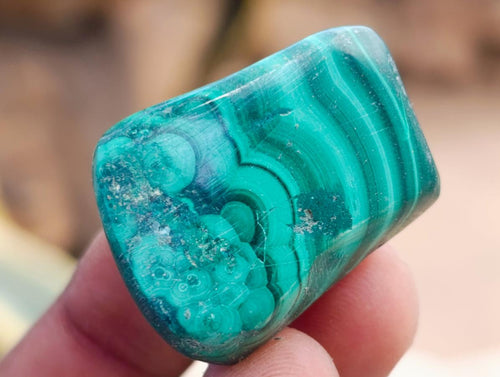 Polished Flower Banded Malachite Free Forms x 70 From Congo